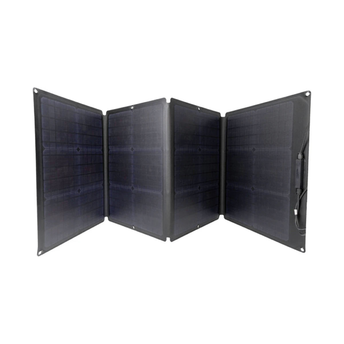 Panel Solar EcoFlow/ 110W